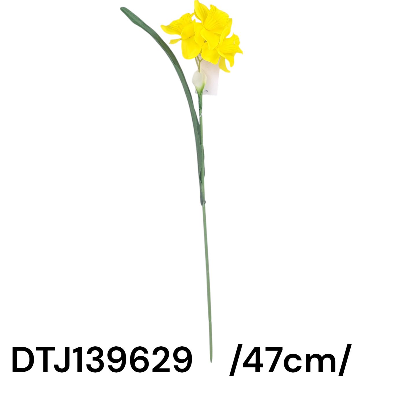 DTJ139629