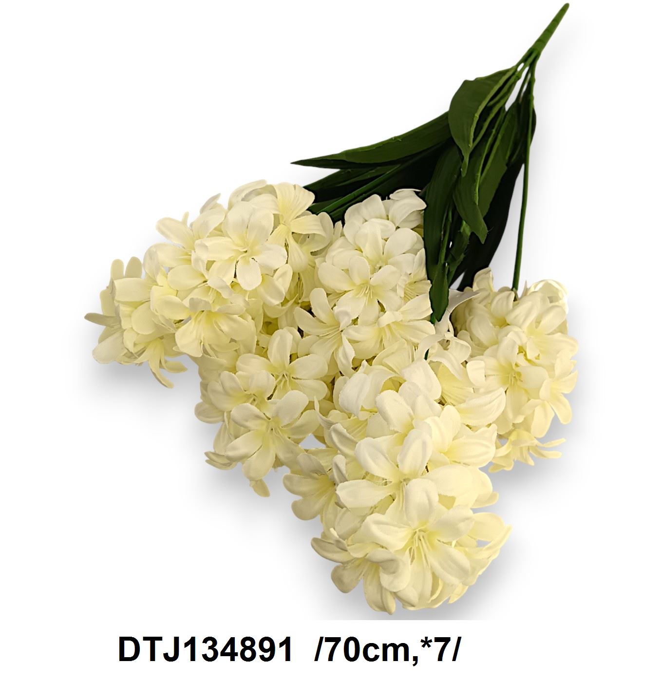 DTJ134891