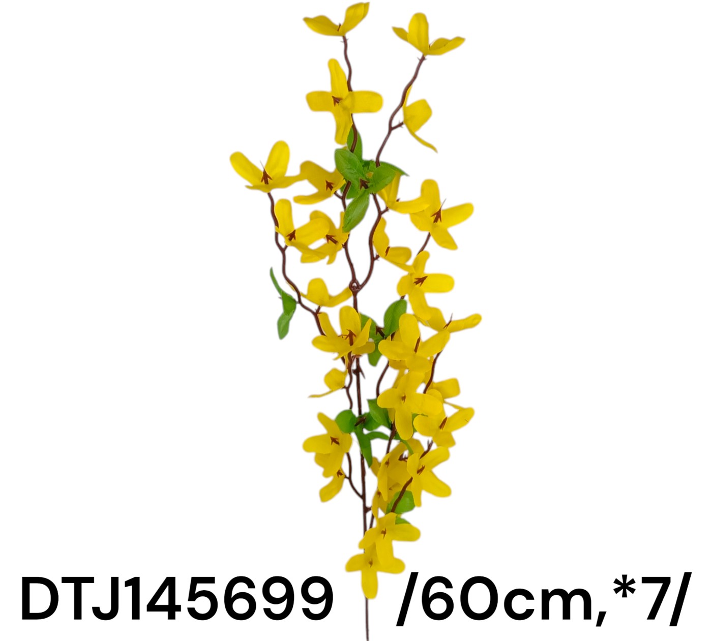 DTJ145699