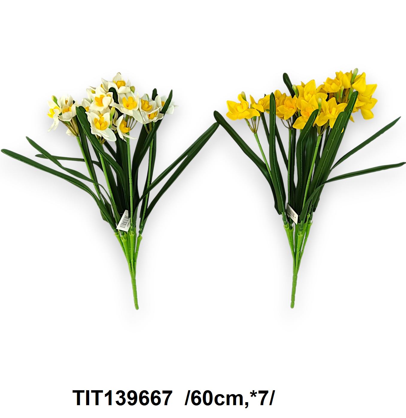 TIT139667