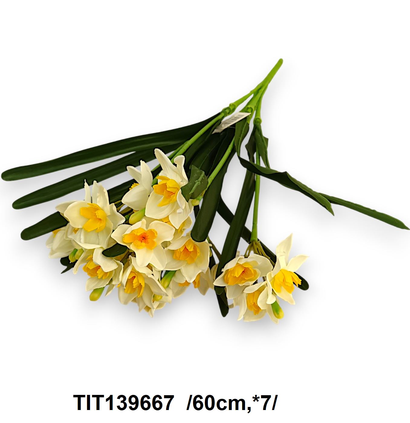 TIT139667