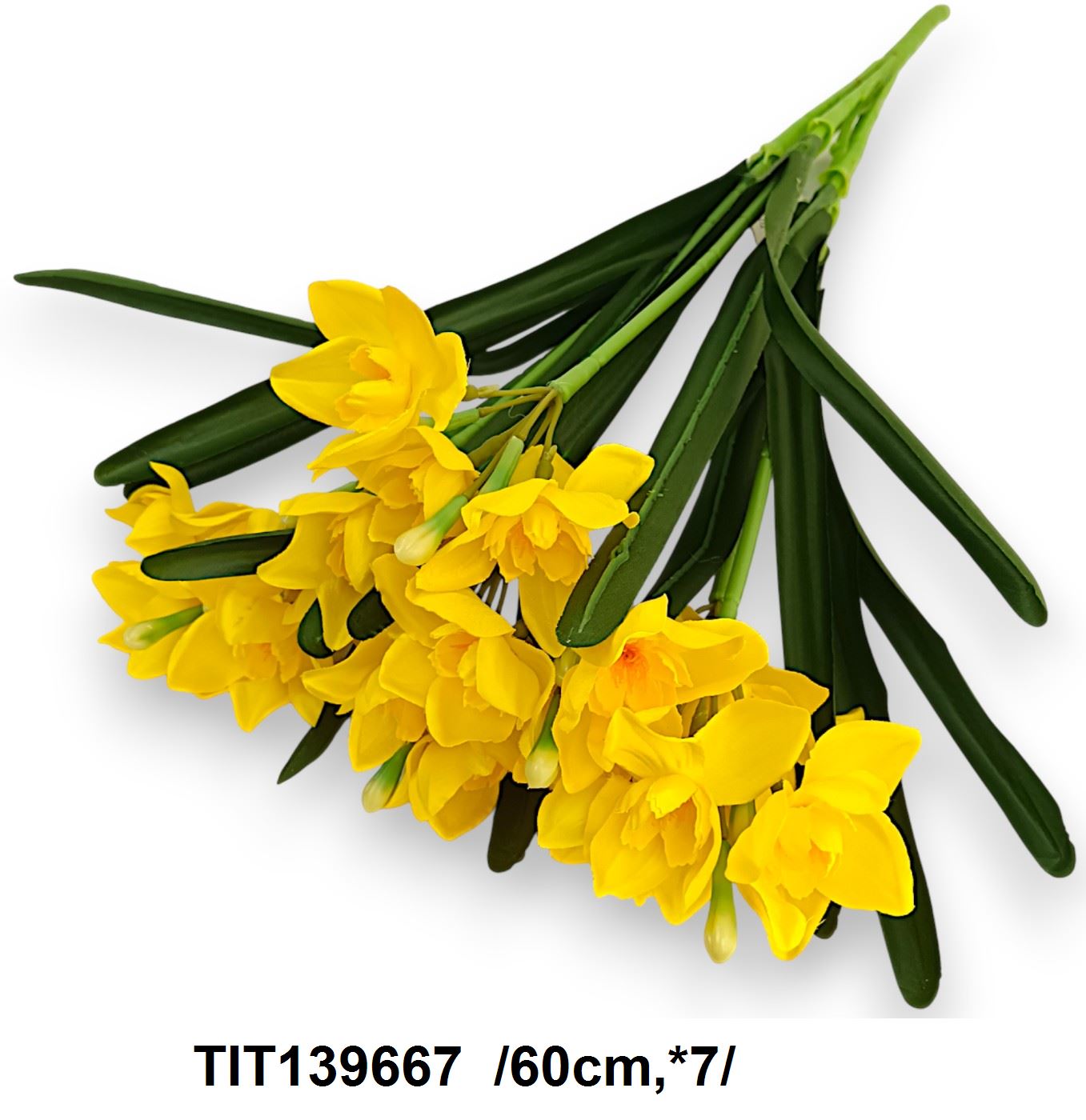 TIT139667