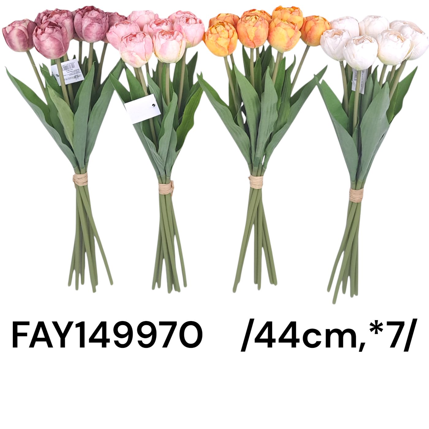 FAY149970