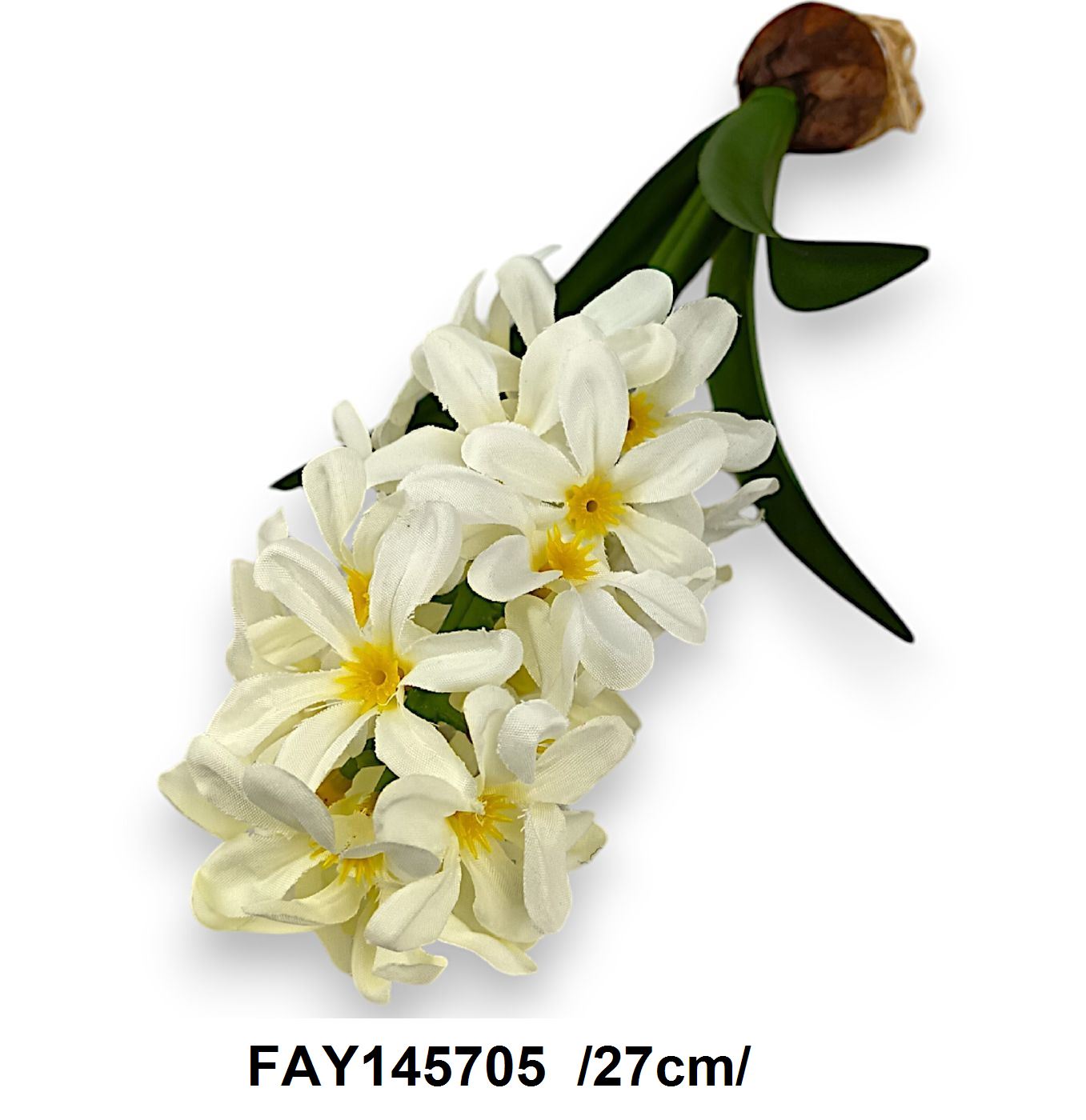 FAY145705