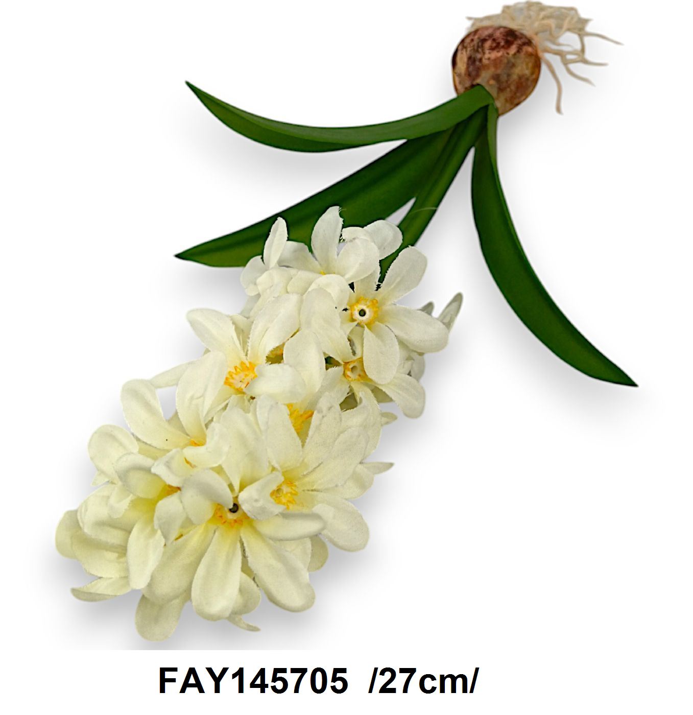 FAY145705