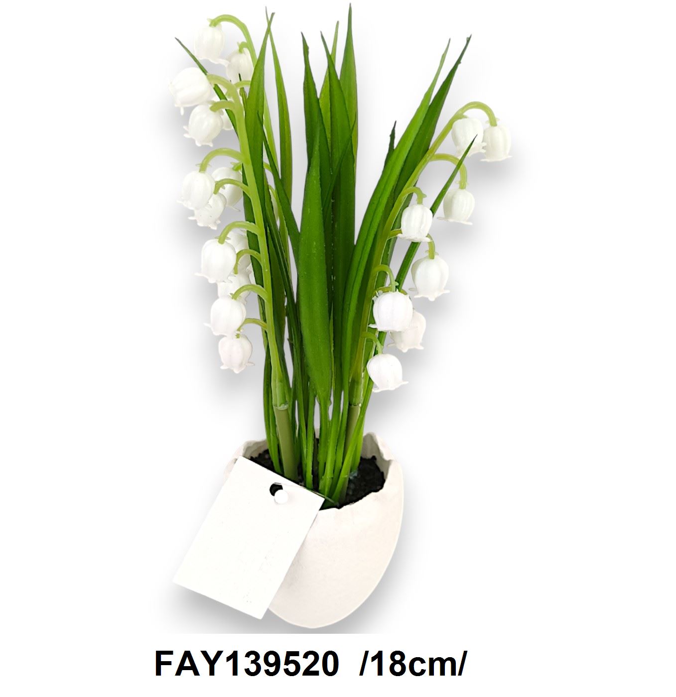 FAY139520