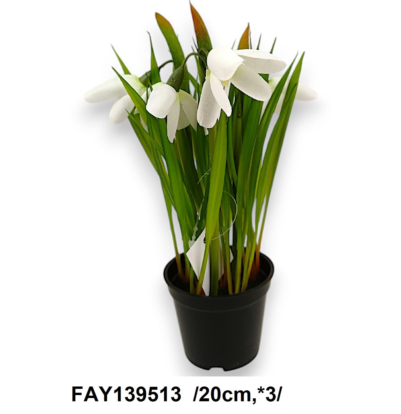 FAY139513