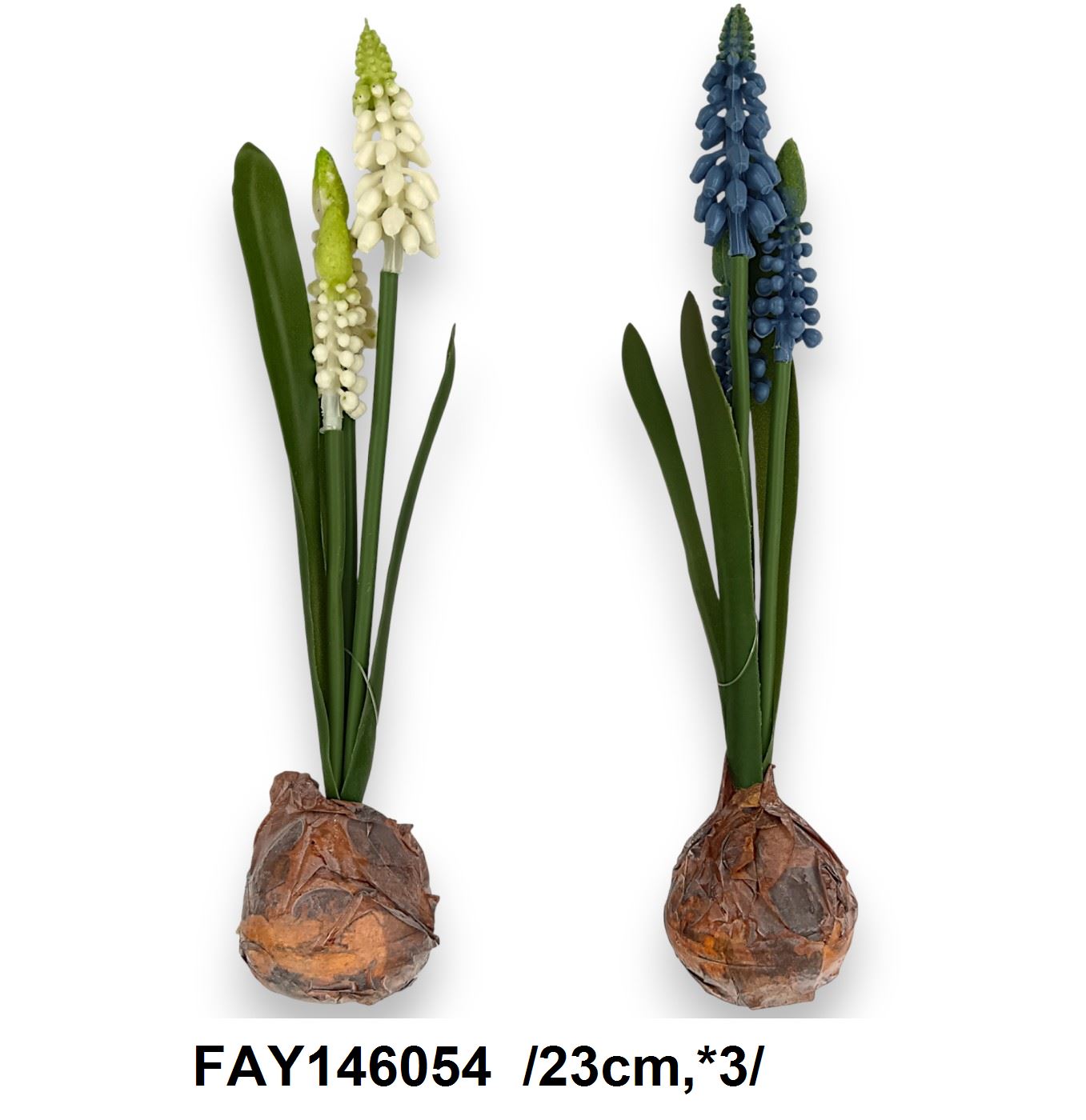FAY146054