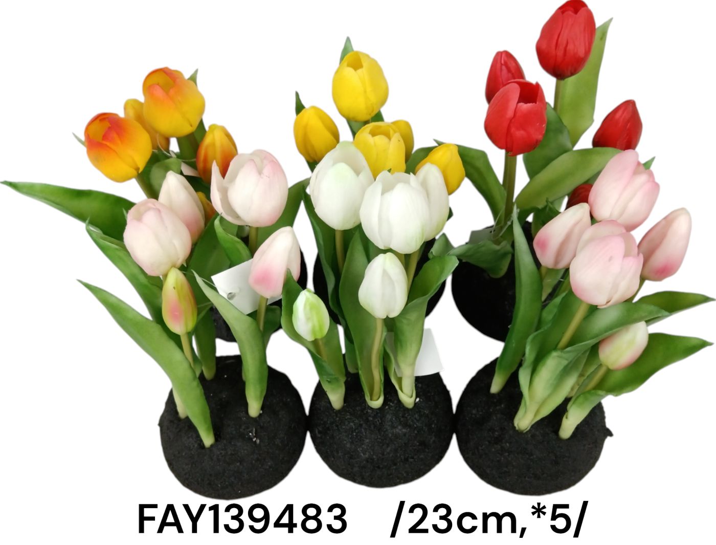 FAY139483