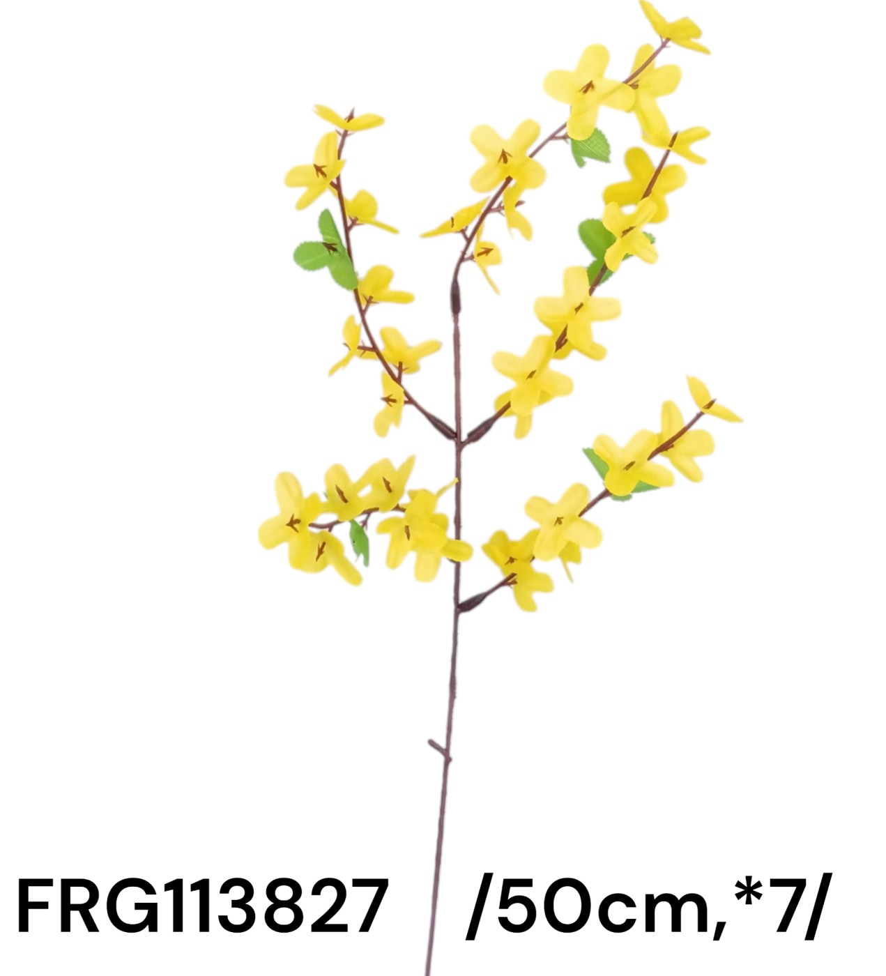 FRG113827