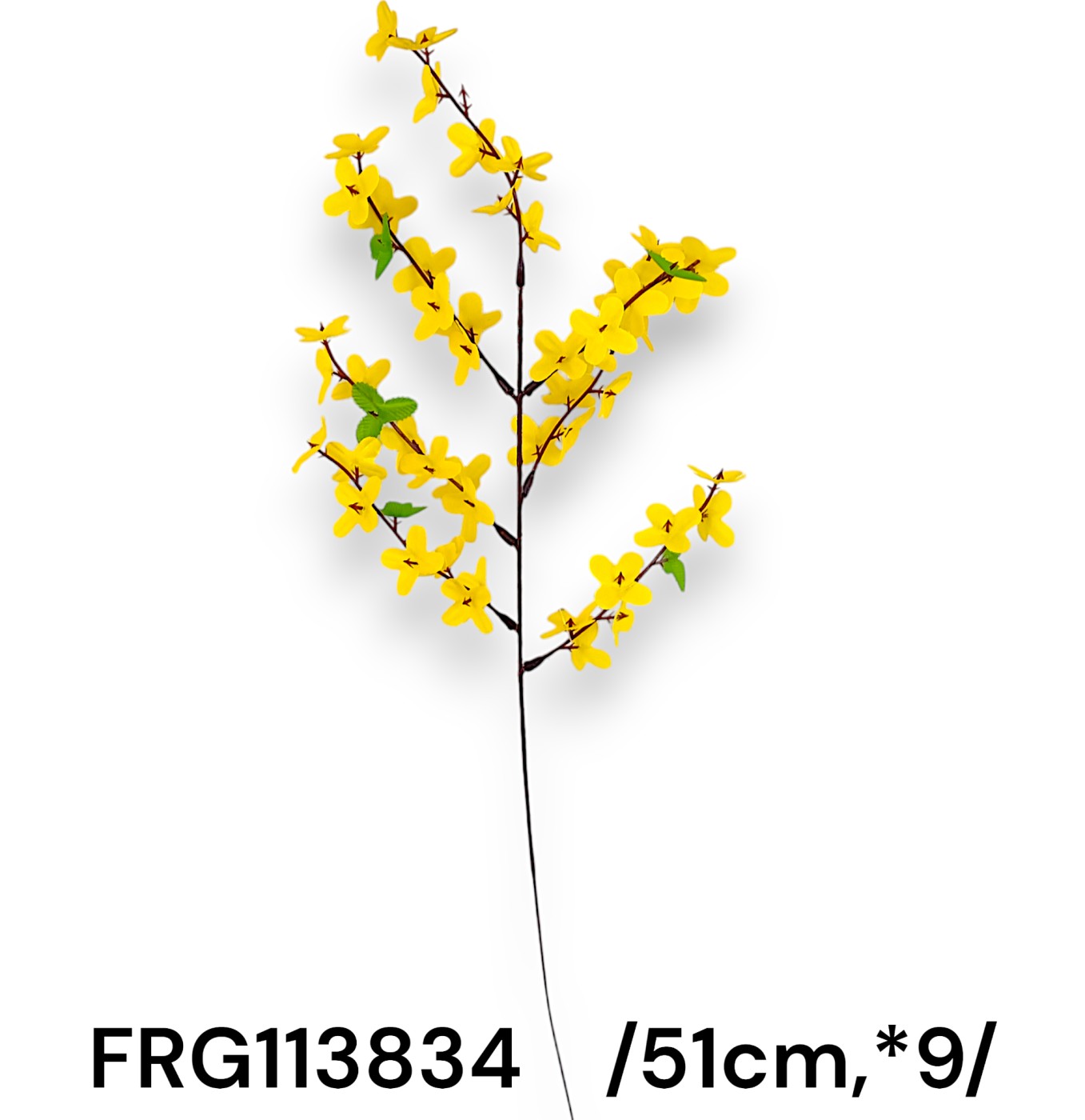 FRG113834