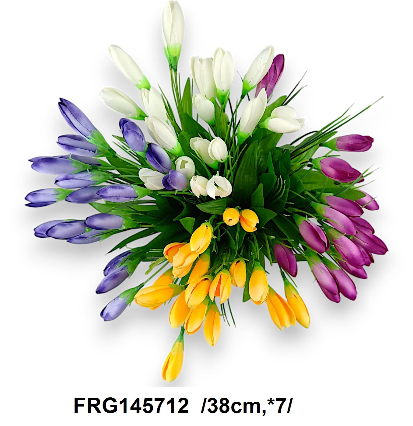 FRG145712