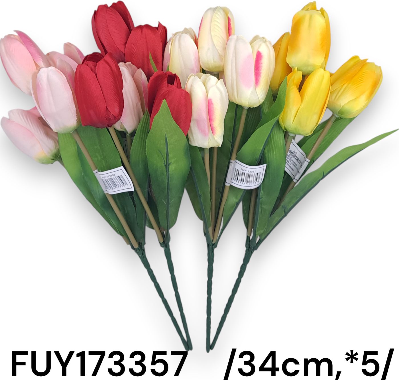 FUY173357