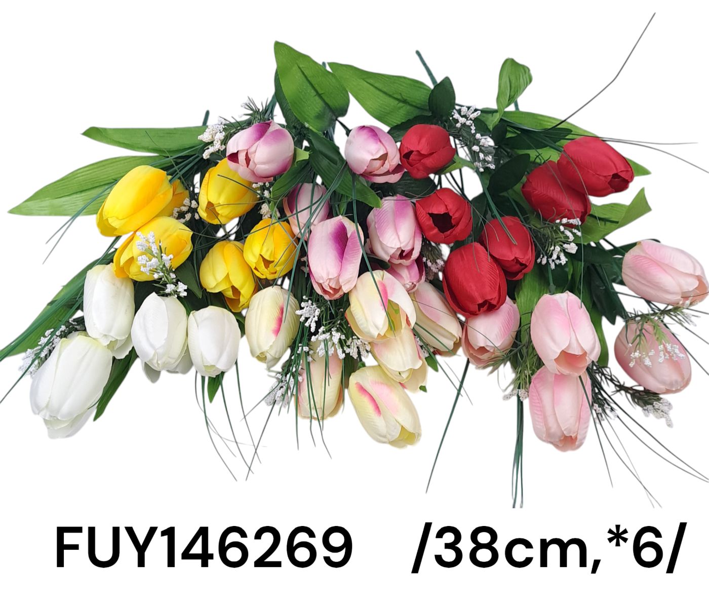 FUY146269