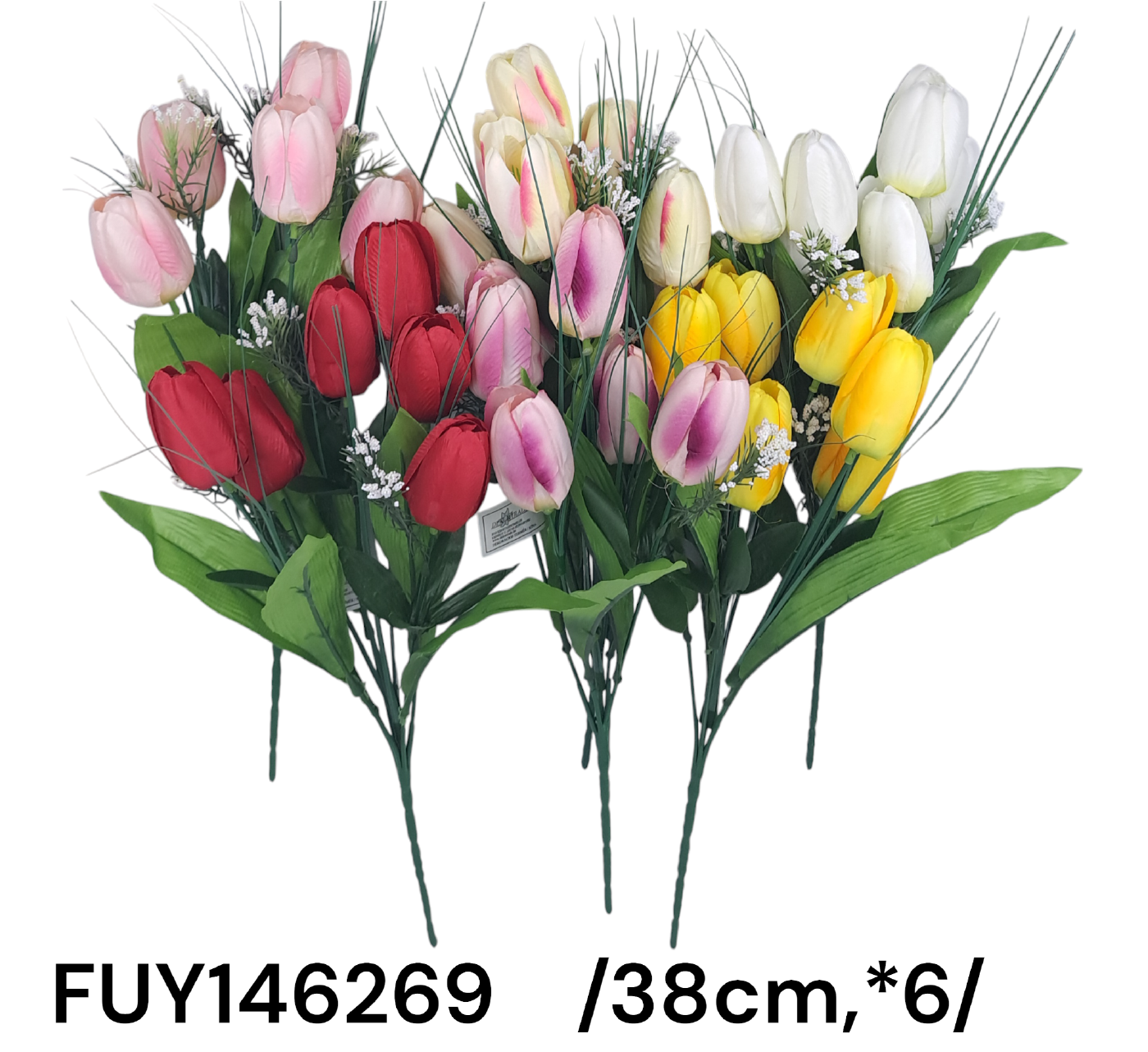 FUY146269