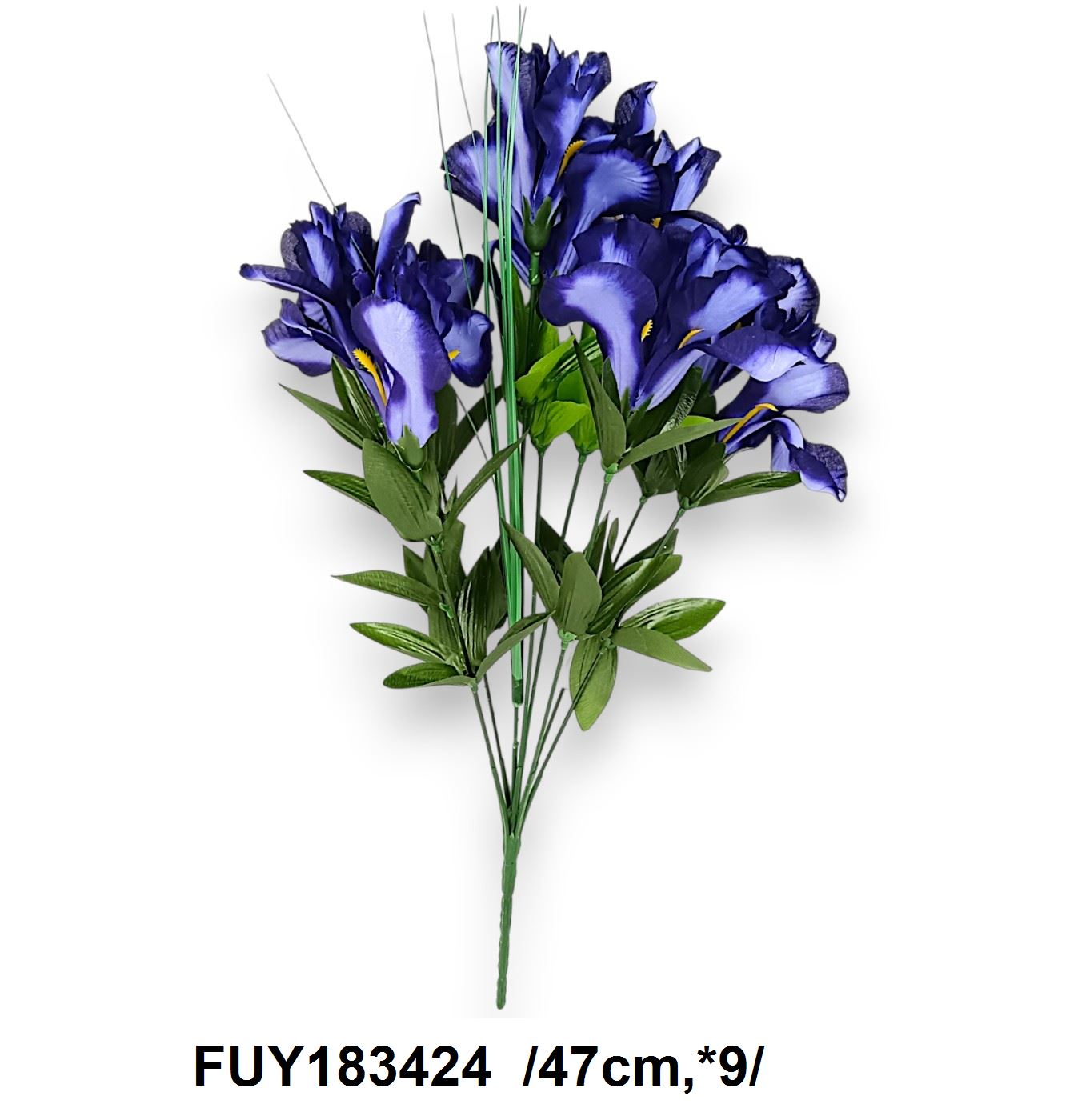 FUY183424
