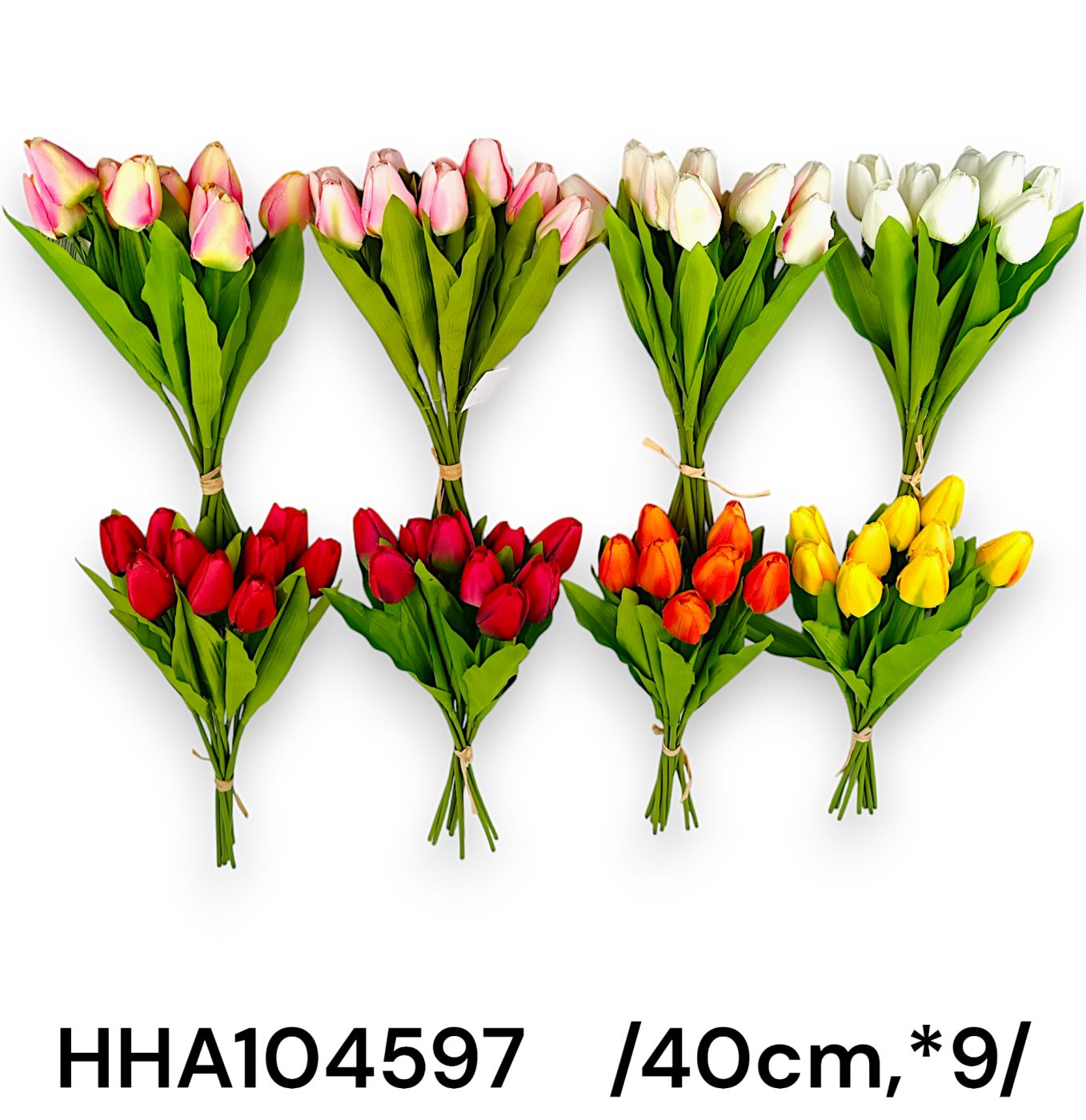 HHA104597