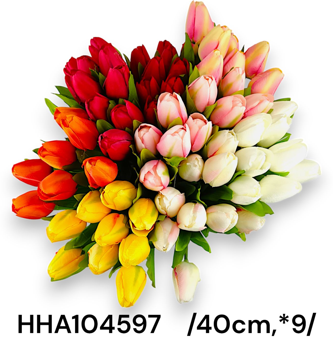 HHA104597