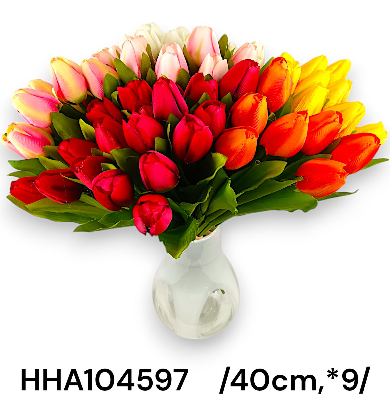 HHA104597