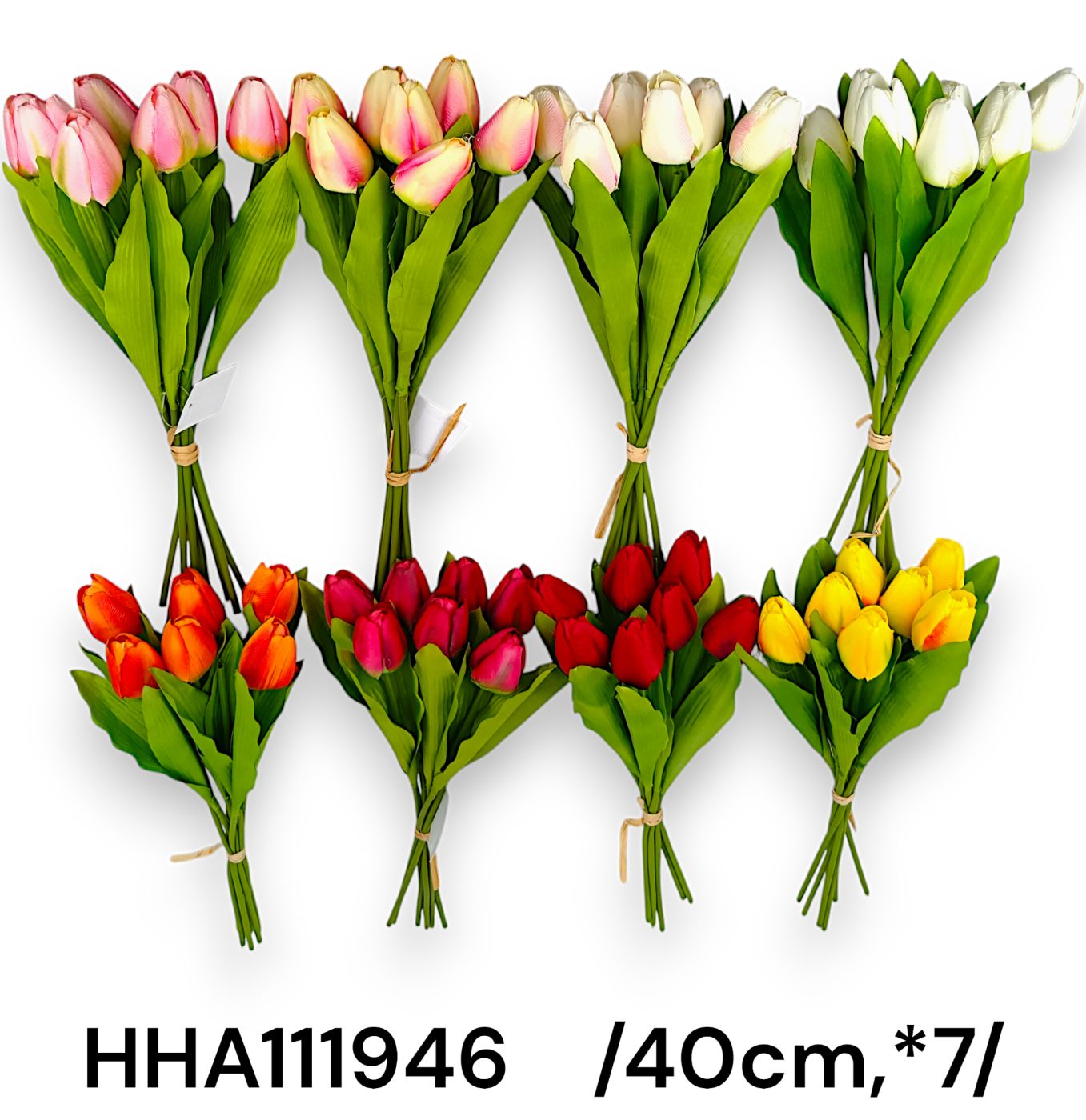 HHA111946