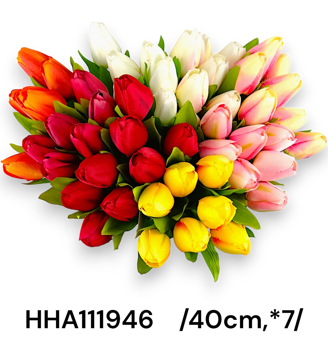 HHA111946