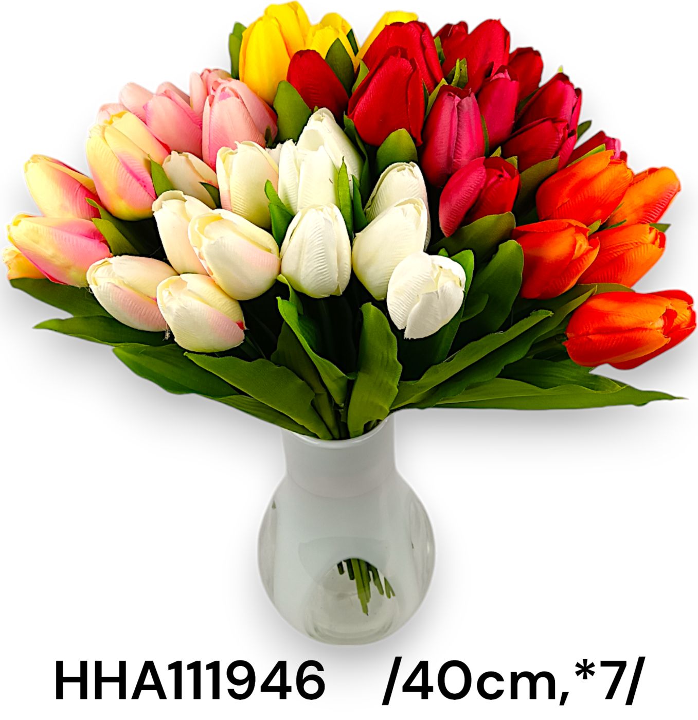 HHA111946
