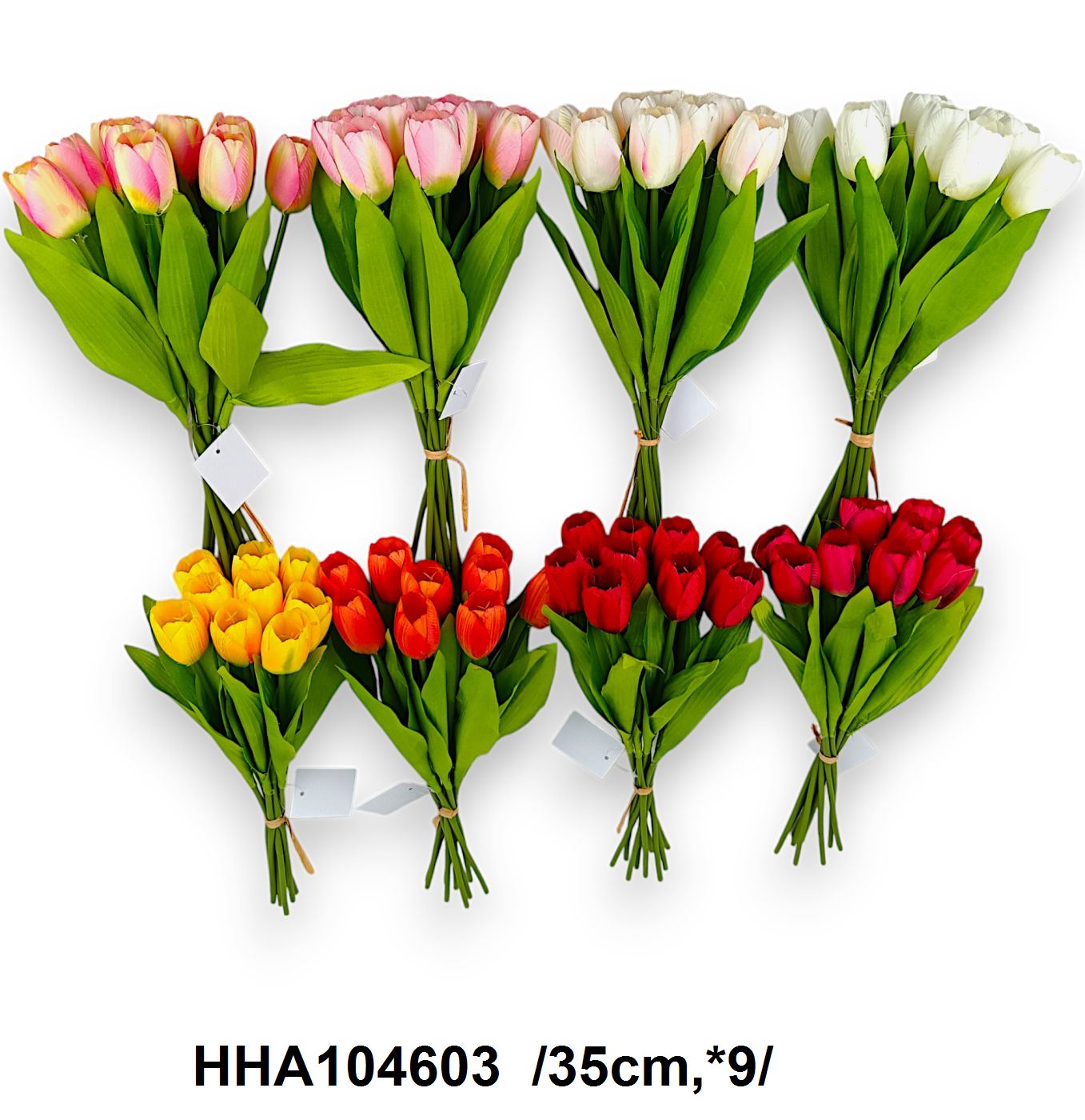 HHA104603