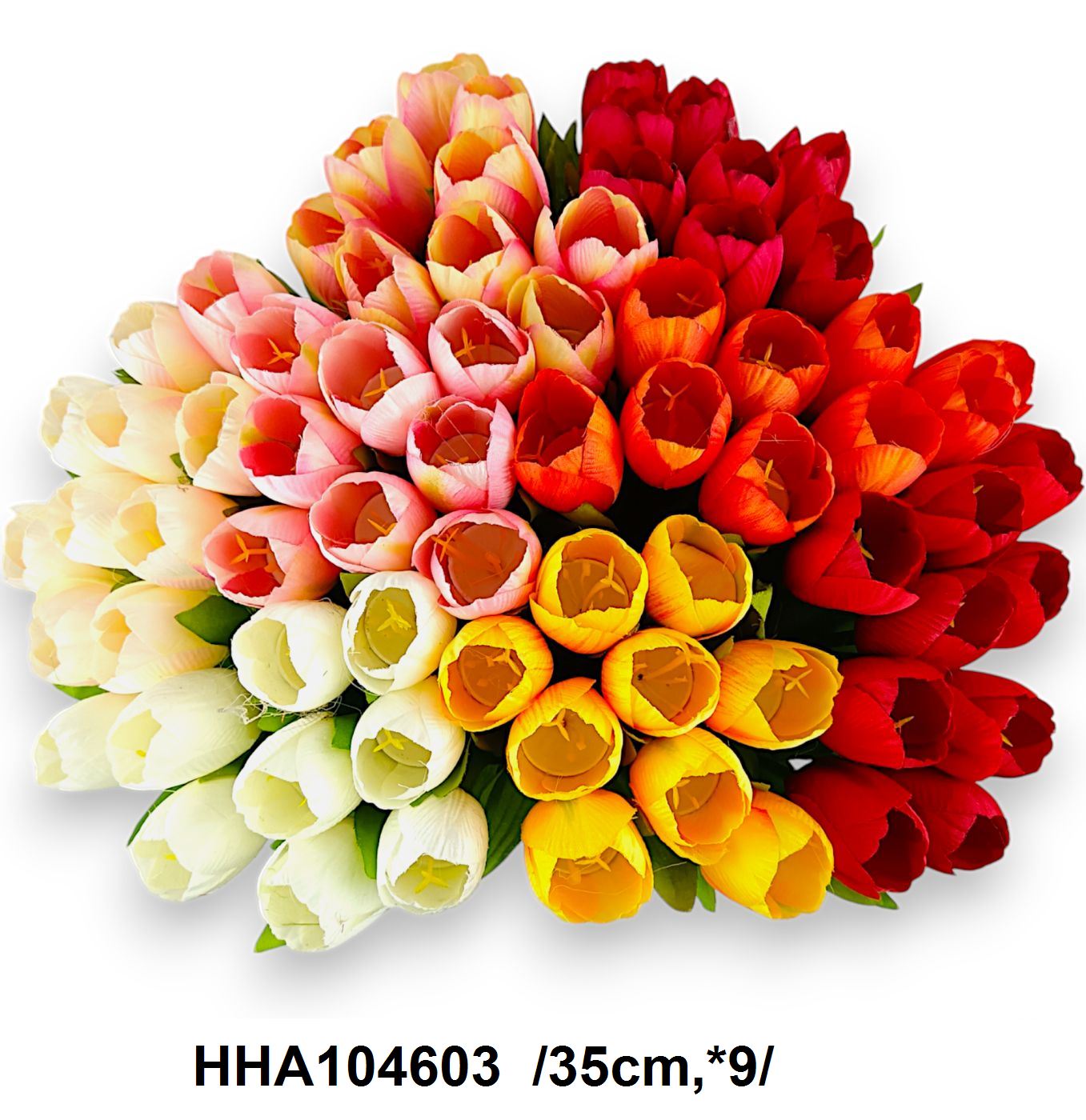 HHA104603
