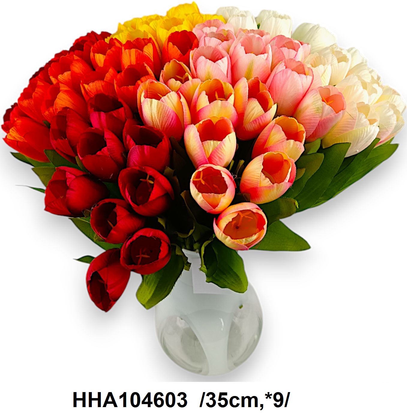 HHA104603