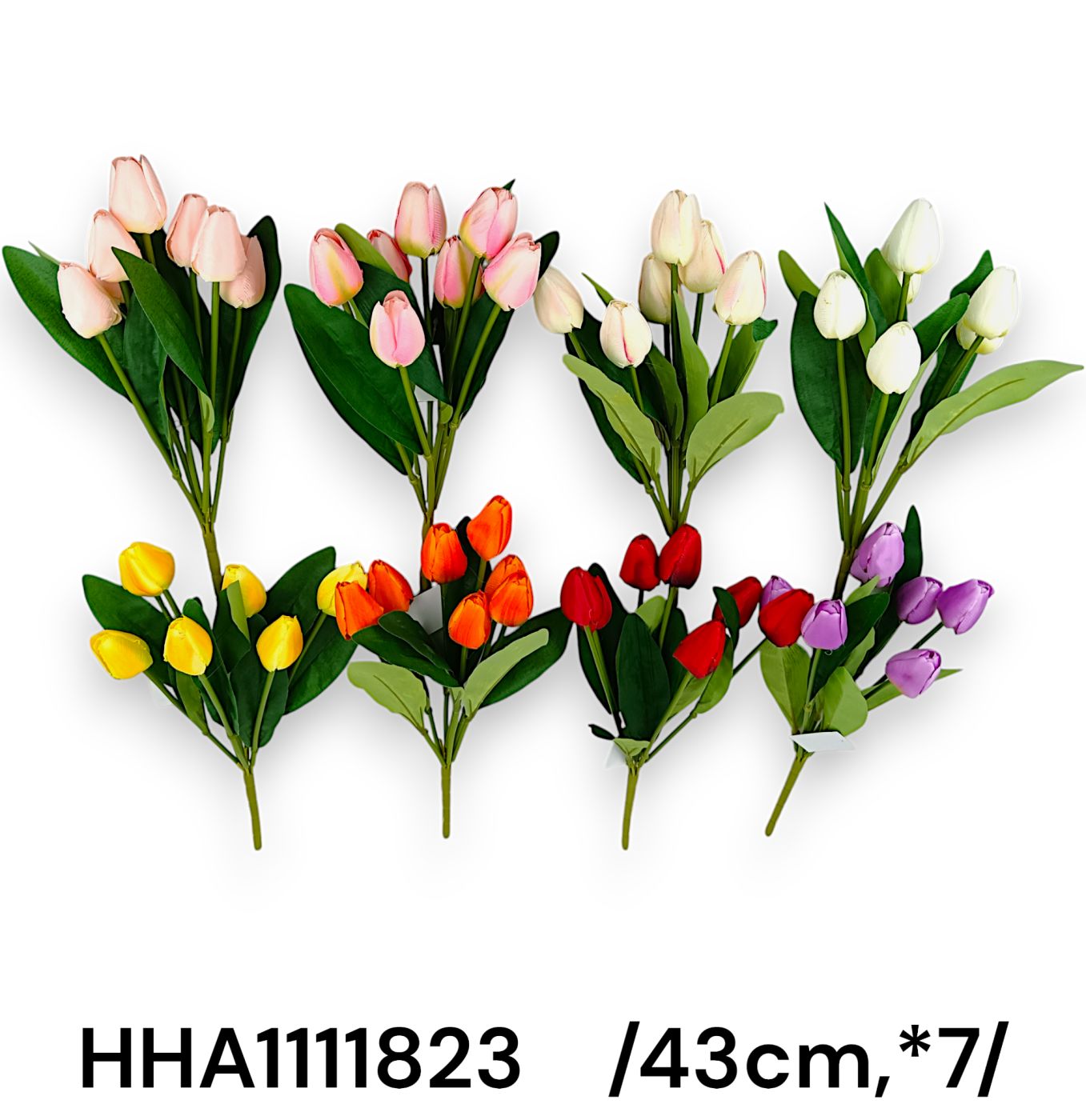 HHA111823