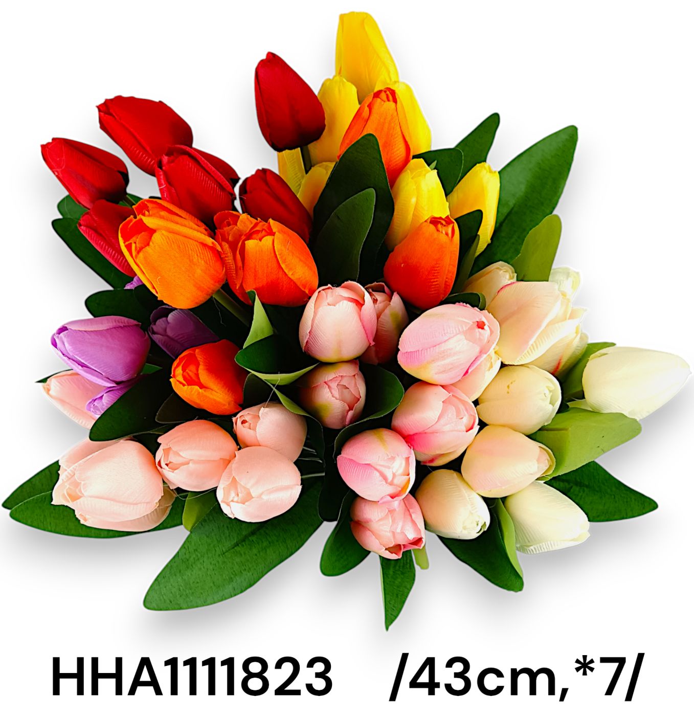 HHA111823