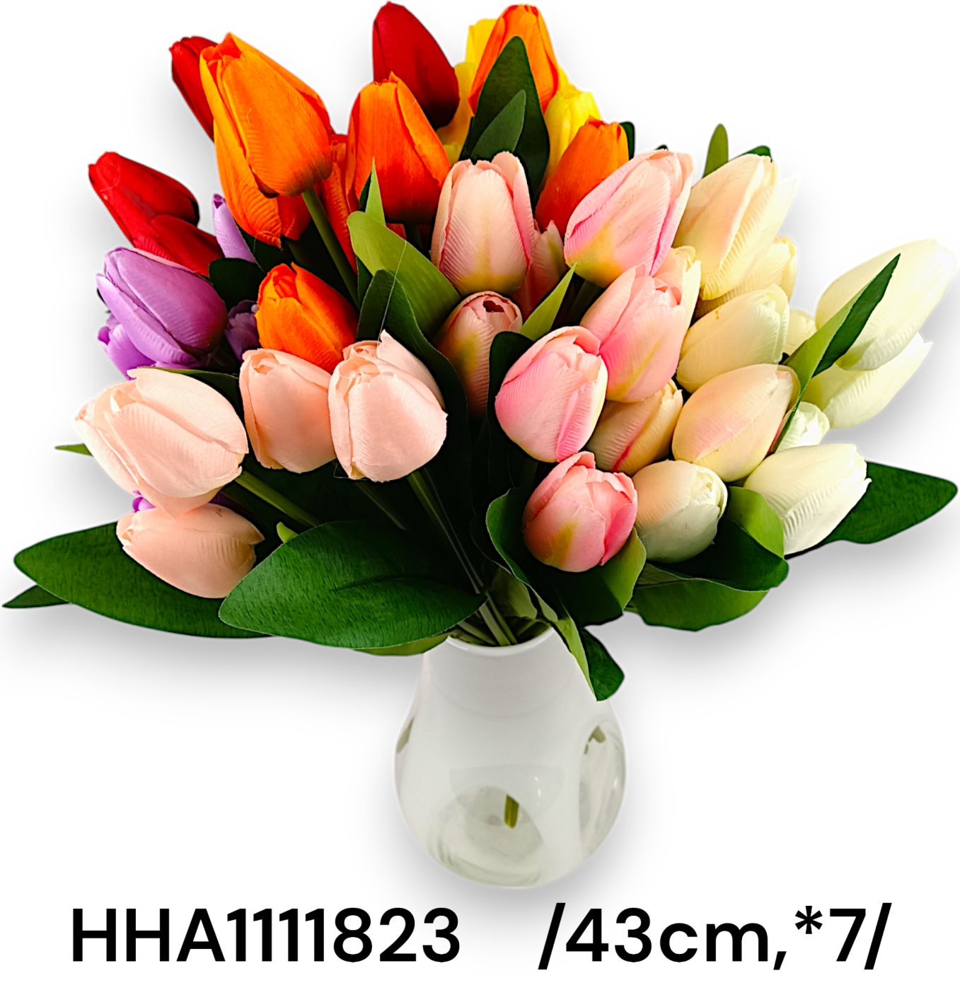 HHA111823