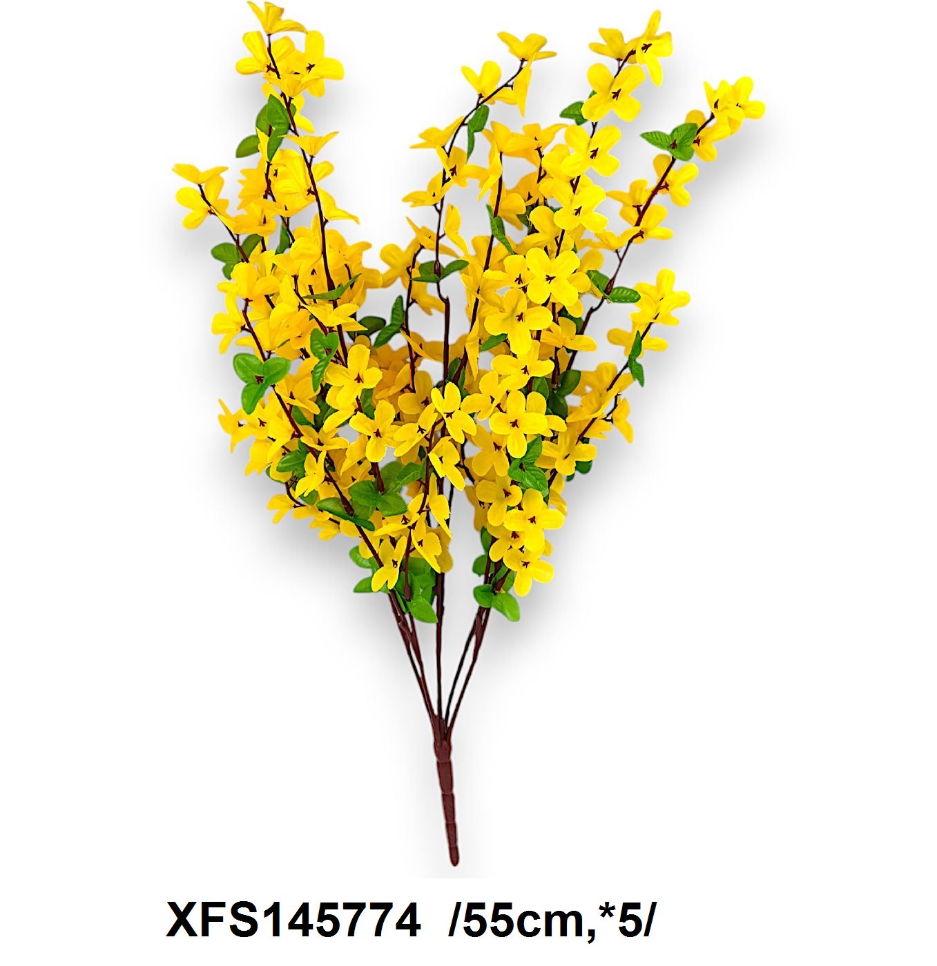 XFS145774