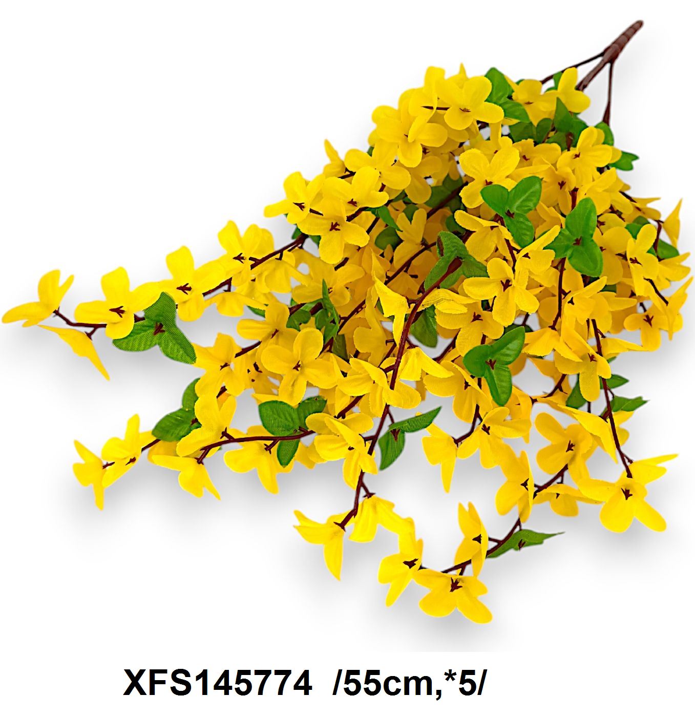 XFS145774