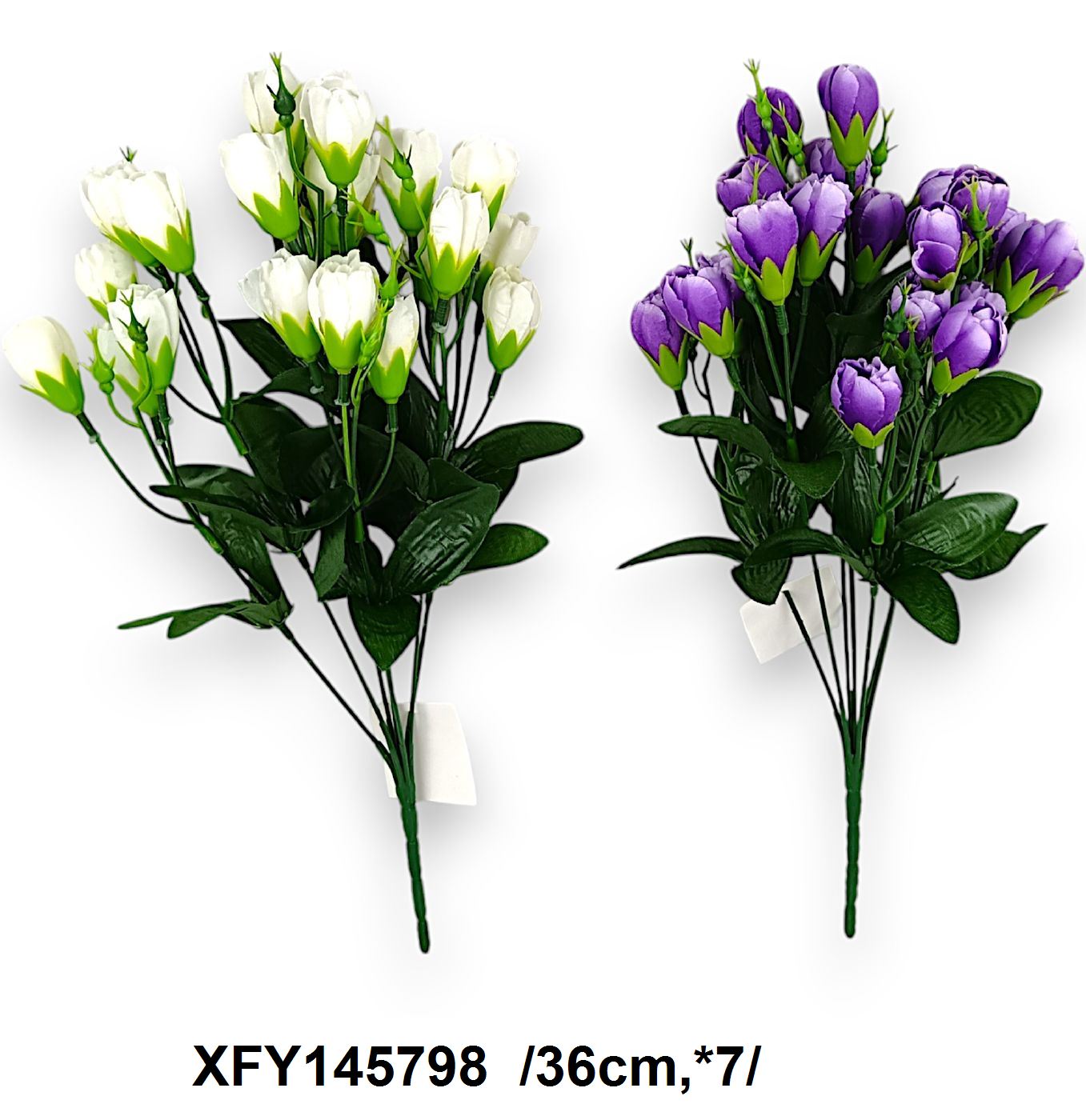 XFY145798