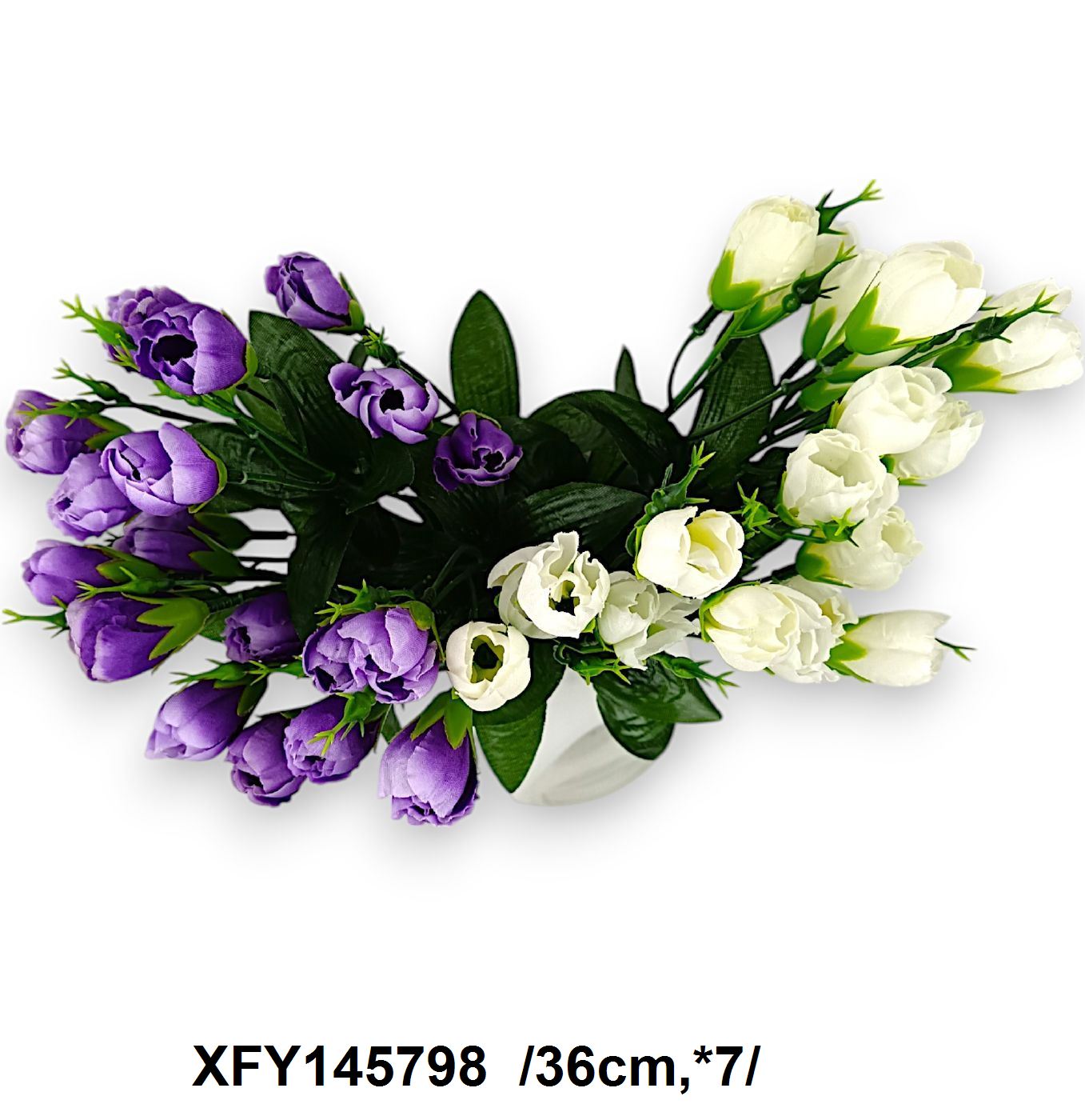 XFY145798