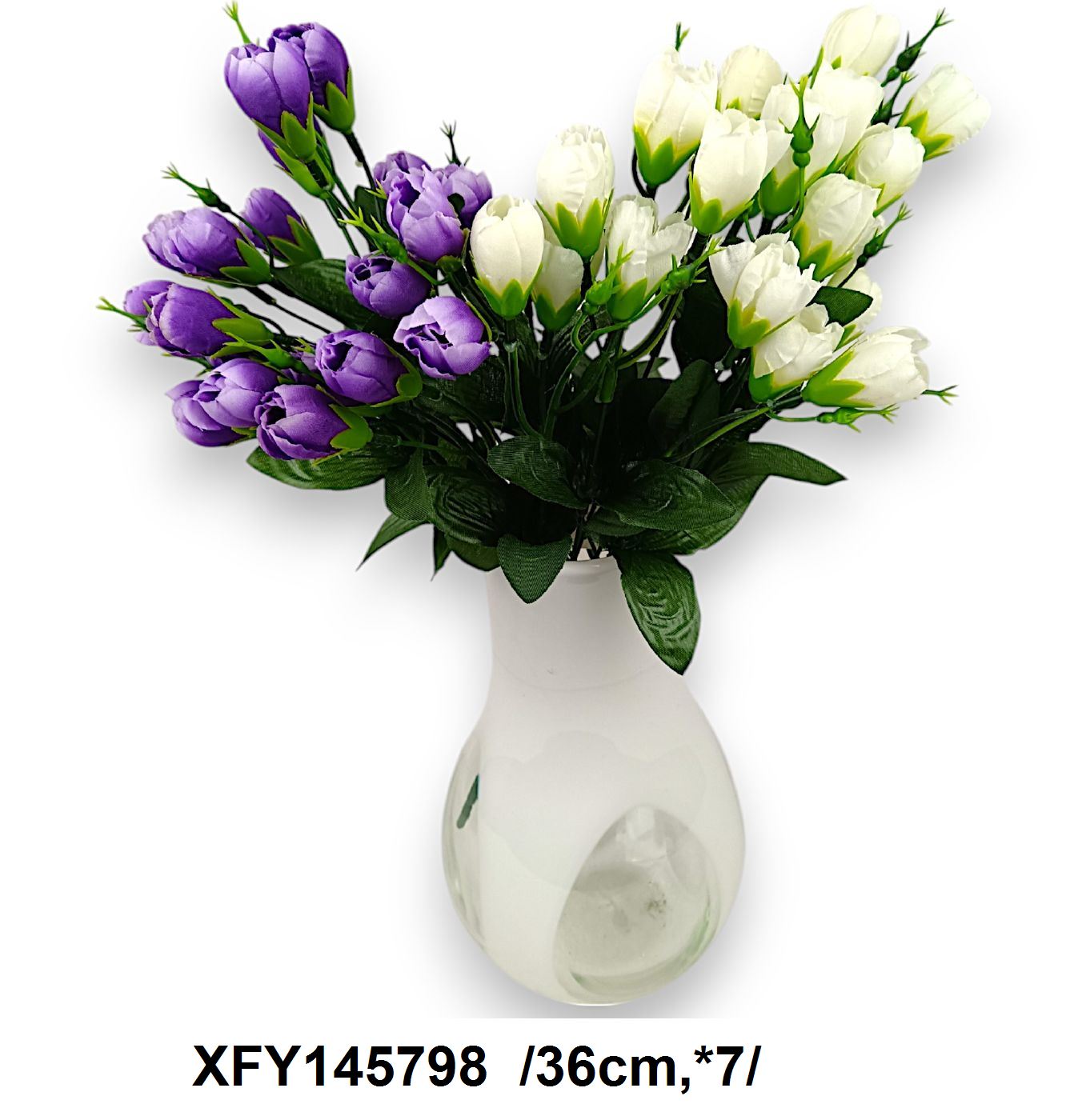 XFY145798