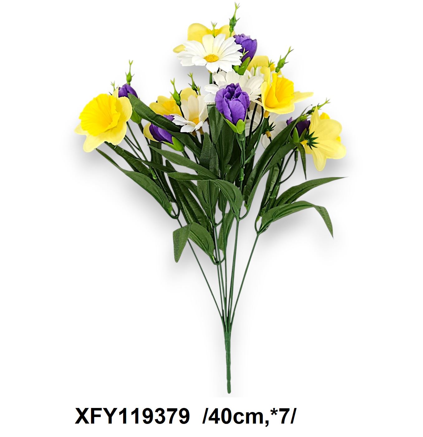 XFY119379