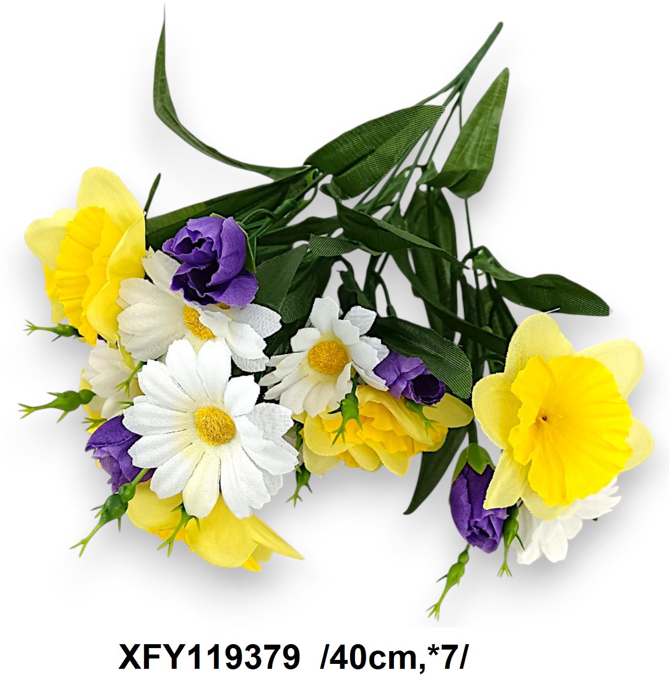 XFY119379
