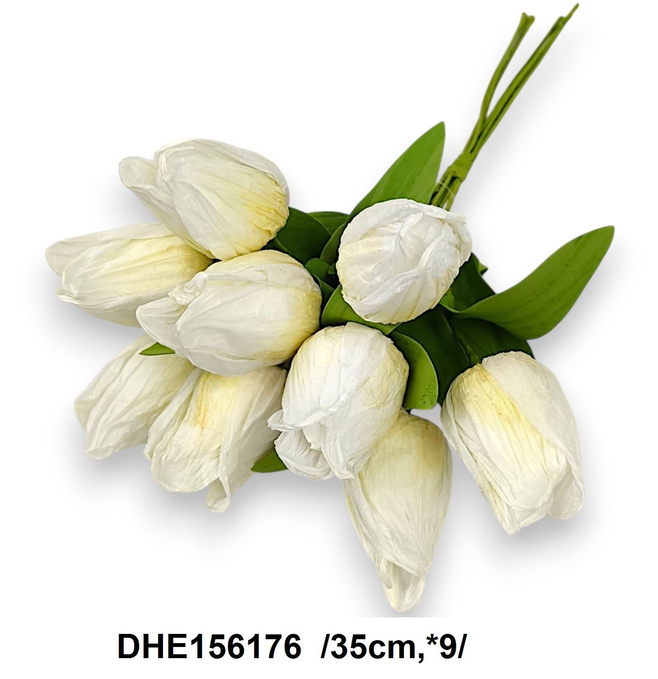 DHE156176