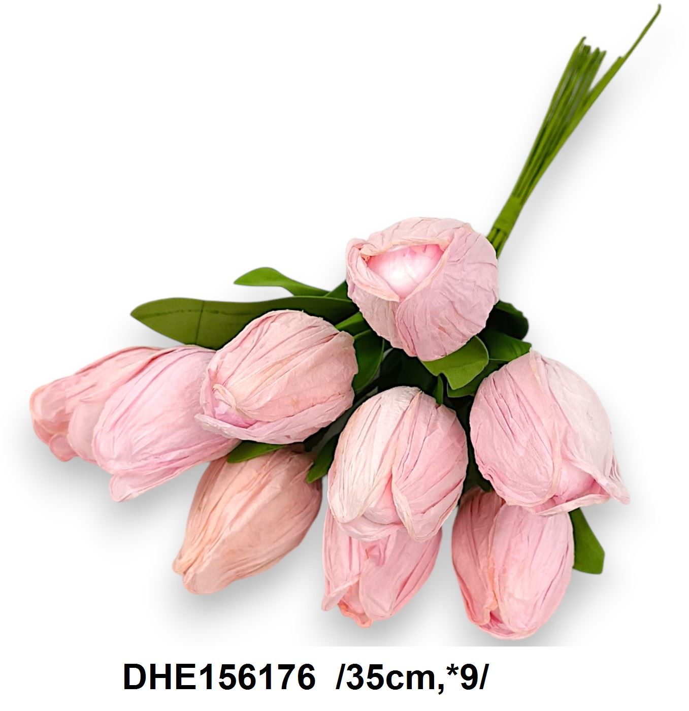 DHE156176