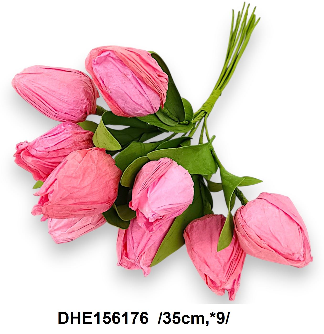 DHE156176