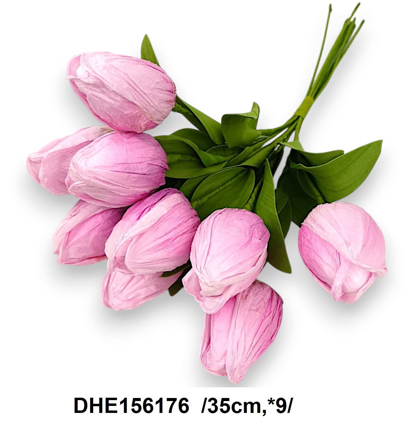 DHE156176