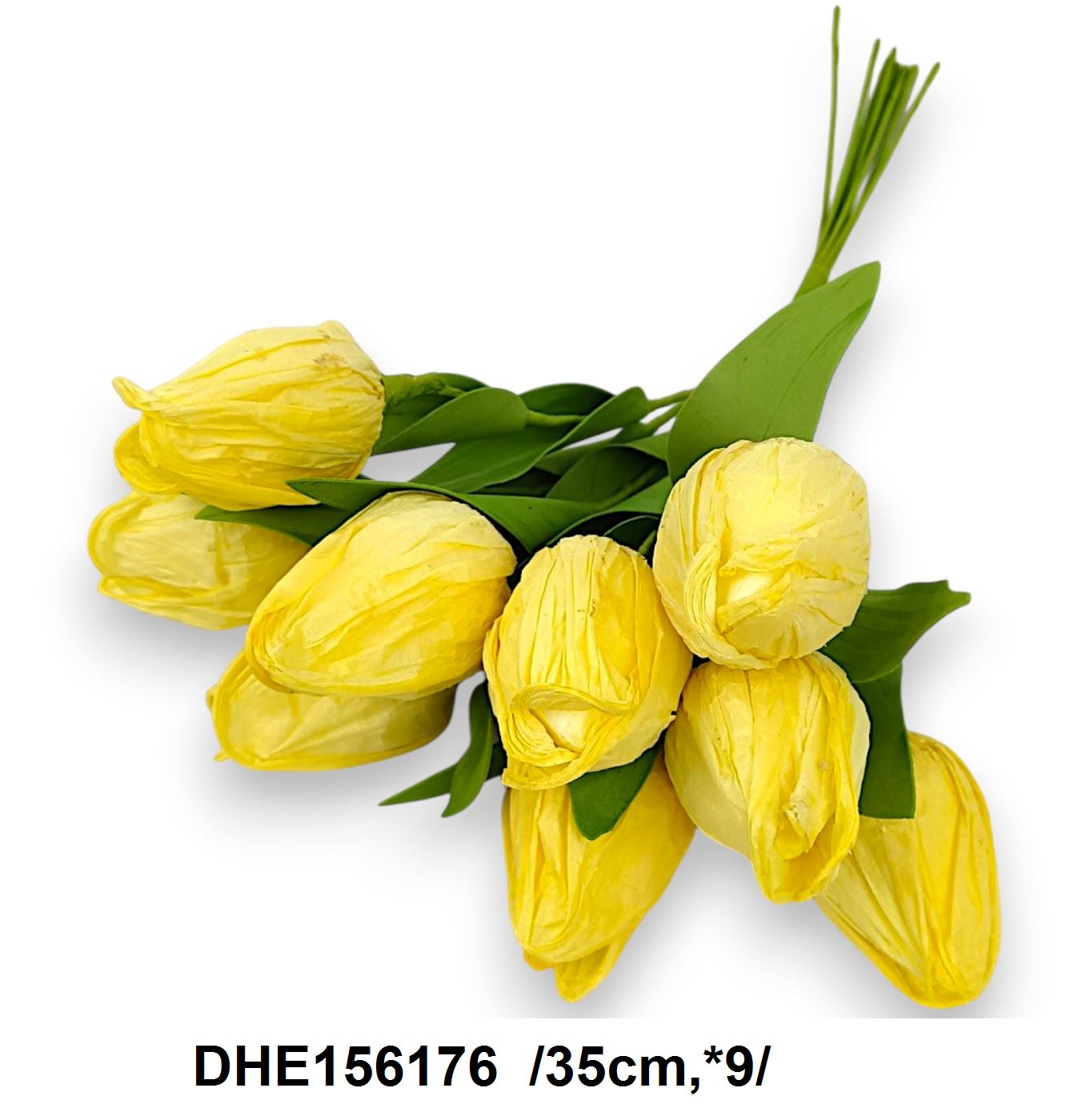 DHE156176