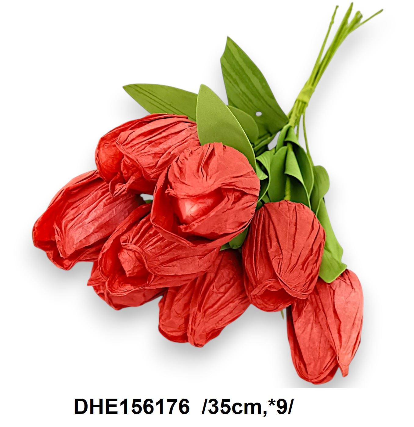 DHE156176