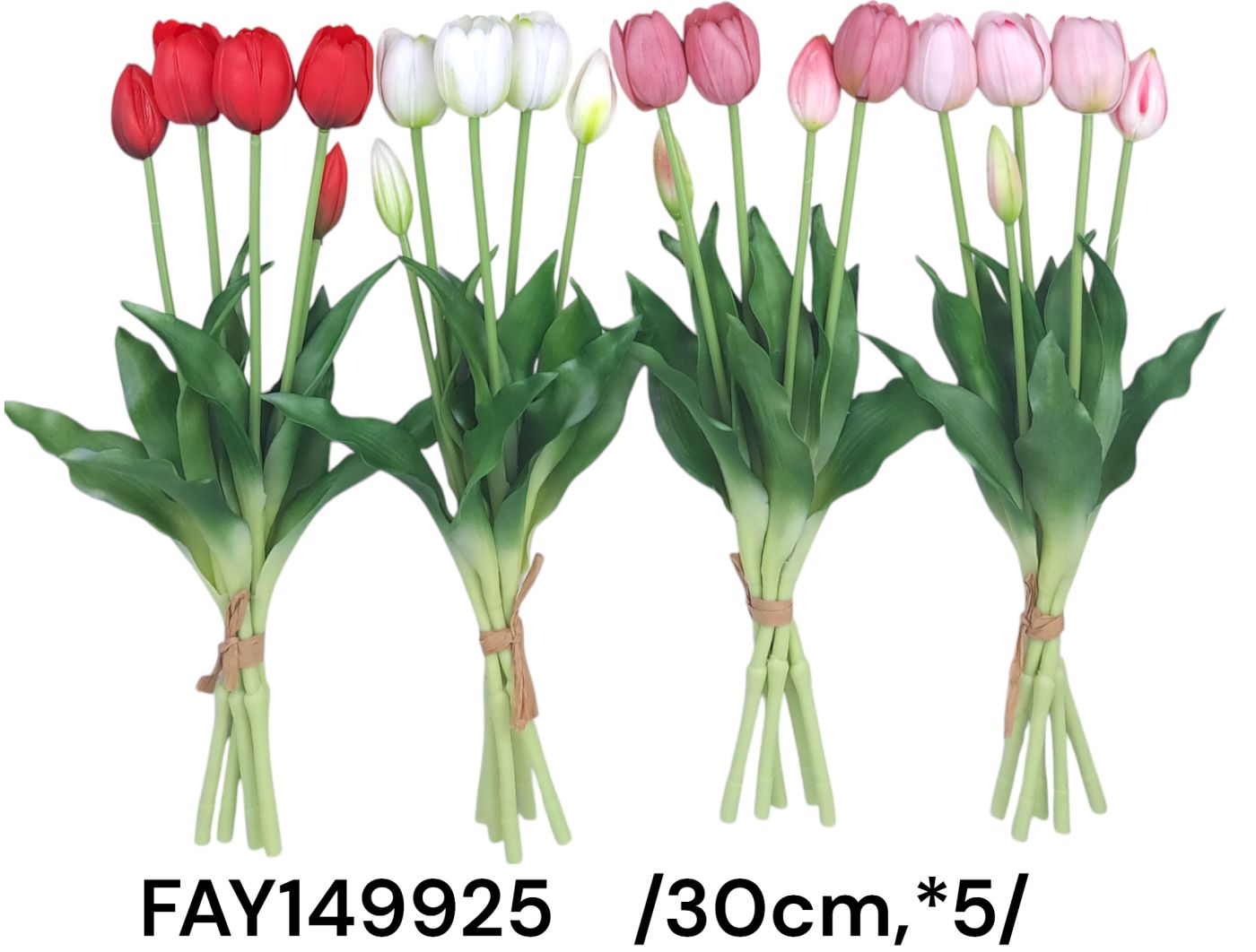 FAY149925