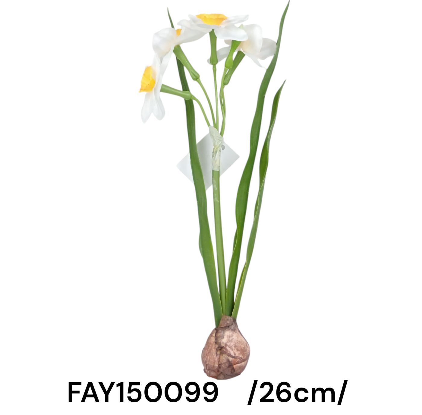 FAY150099