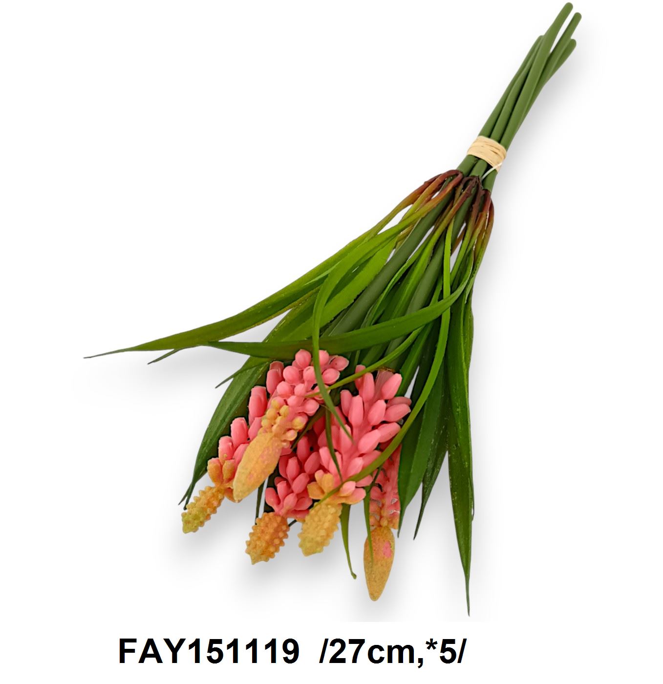FAY151119