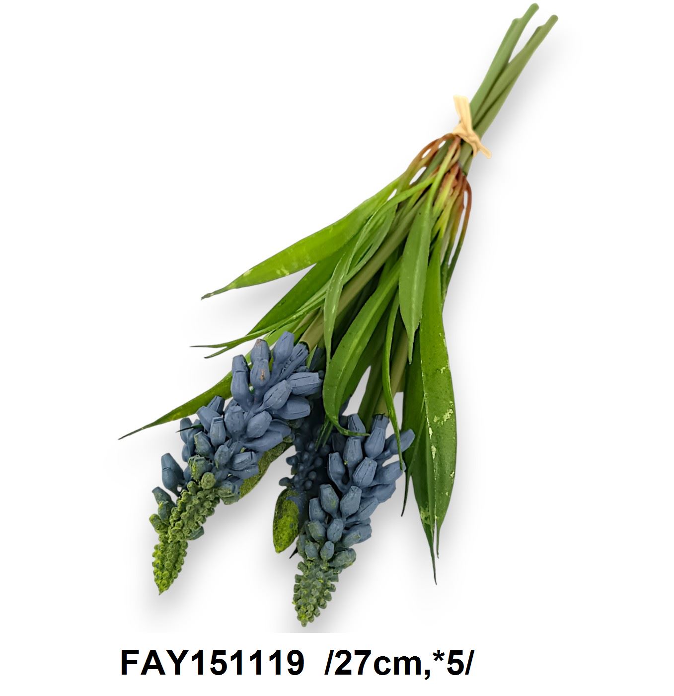 FAY151119