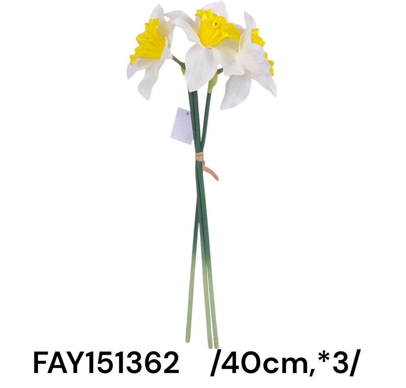 FAY151362